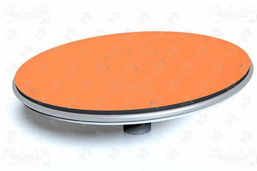 Drehscheibe J2407 spielgeräte bewegungsspielgeräte karussells bild 3d