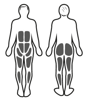 Muskuläre Stimulation