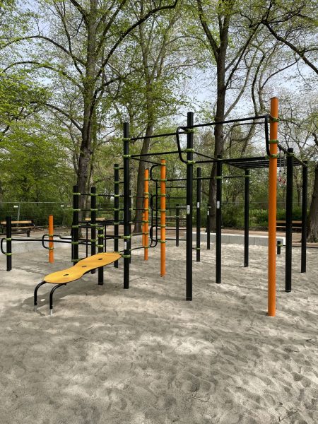 Street-Workout-Anlage mit Kletter- und Hangelmodulen auf Sandfläche im Mariannenpark Leipzig, umgeben von Bäumen und Parkmöblierung.