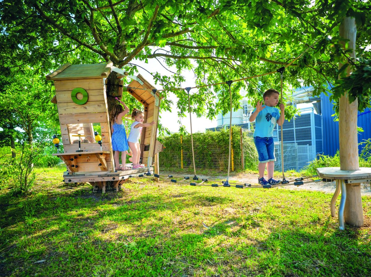 Kinder spielen auf der naturnahen Arborea Play® Spielanlage rund um einen bestehenden Baum mit Balancierstegen, Kletterelementen und Holzspielhaus.